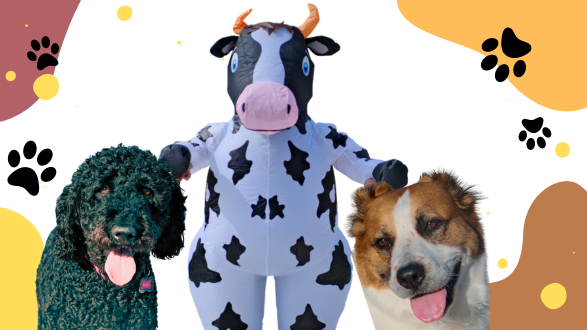 World of Pets and Inflatable Costumes