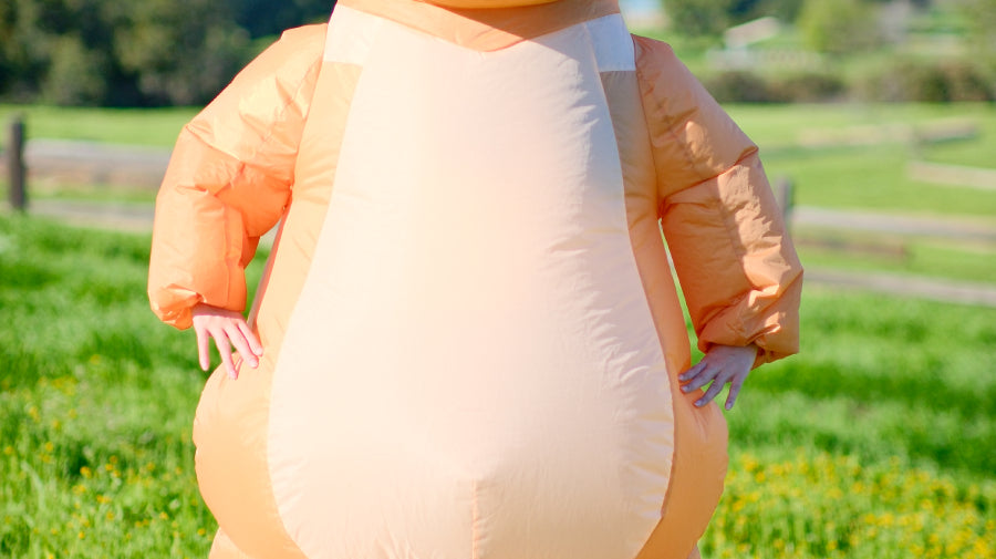 Capybara's Sunny Adventure on the Grasslands