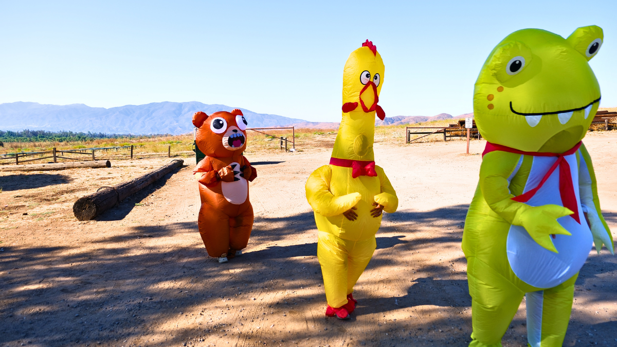 Why People Love Reading Blogs About Our Inflatable Costumes