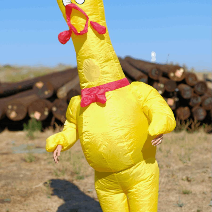 Dancing Inflatable Chicken Christmas outdoor inflatable decorations - 100% Original Design ...