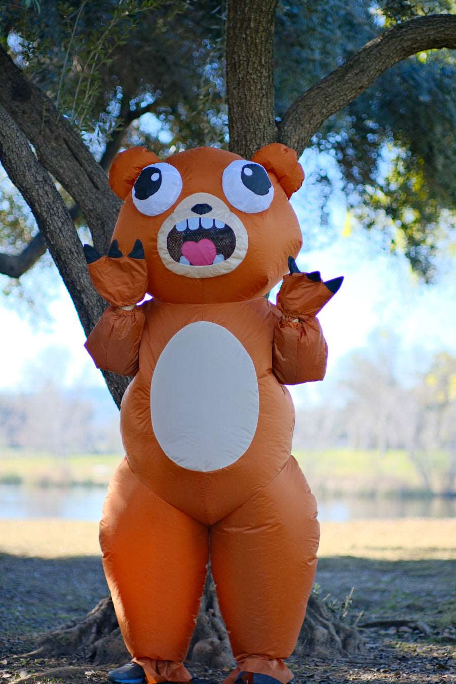 Wacky Bear Adult Inflatable Costume