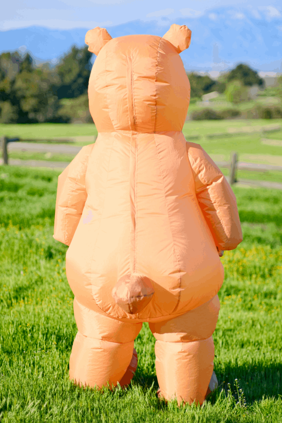 Capybara Adult Inflatable Costume