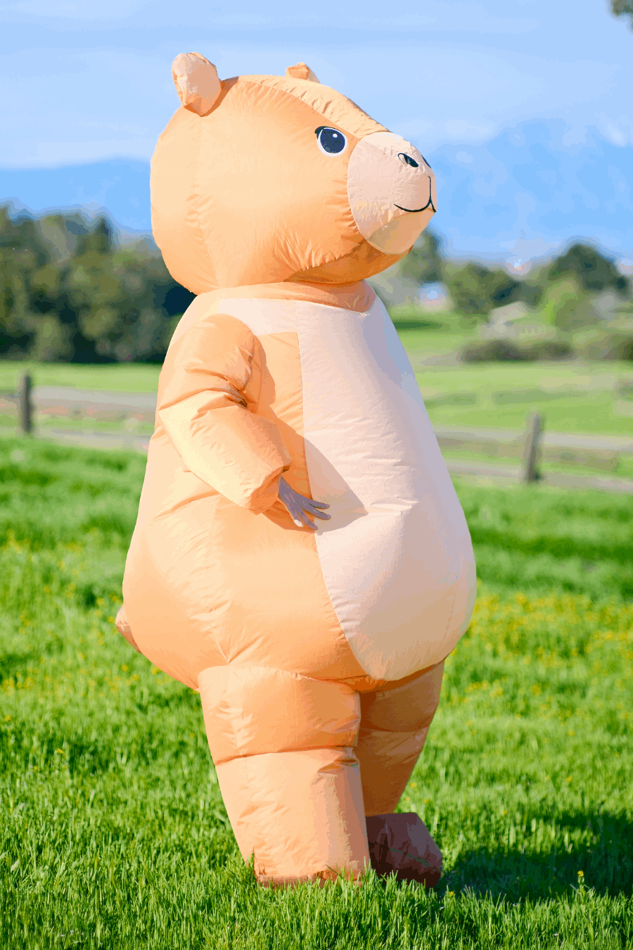 Capybara Inflatable Pool Toy Inflatable Capybara Costume - Inflatable Animal Costumes ...